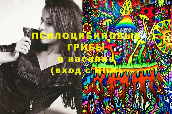 индика Алексеевка