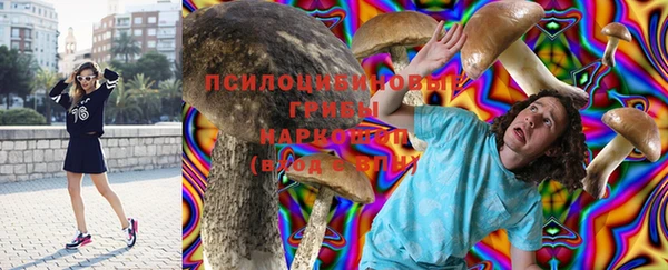 индика Алексеевка