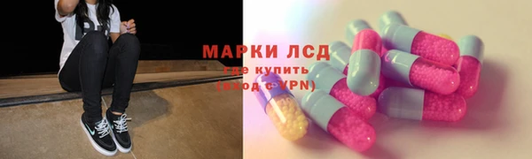 сатива Ельня