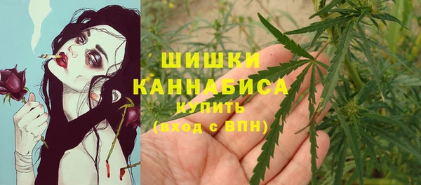 ГАЛЛЮЦИНОГЕННЫЕ ГРИБЫ Кодинск