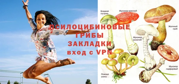 круглые Алзамай