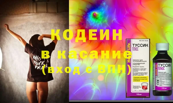 индика Алексеевка