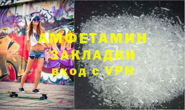 прущие грибы Елабуга