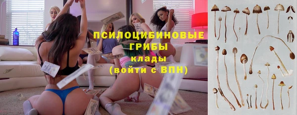 MESCALINE Елизово